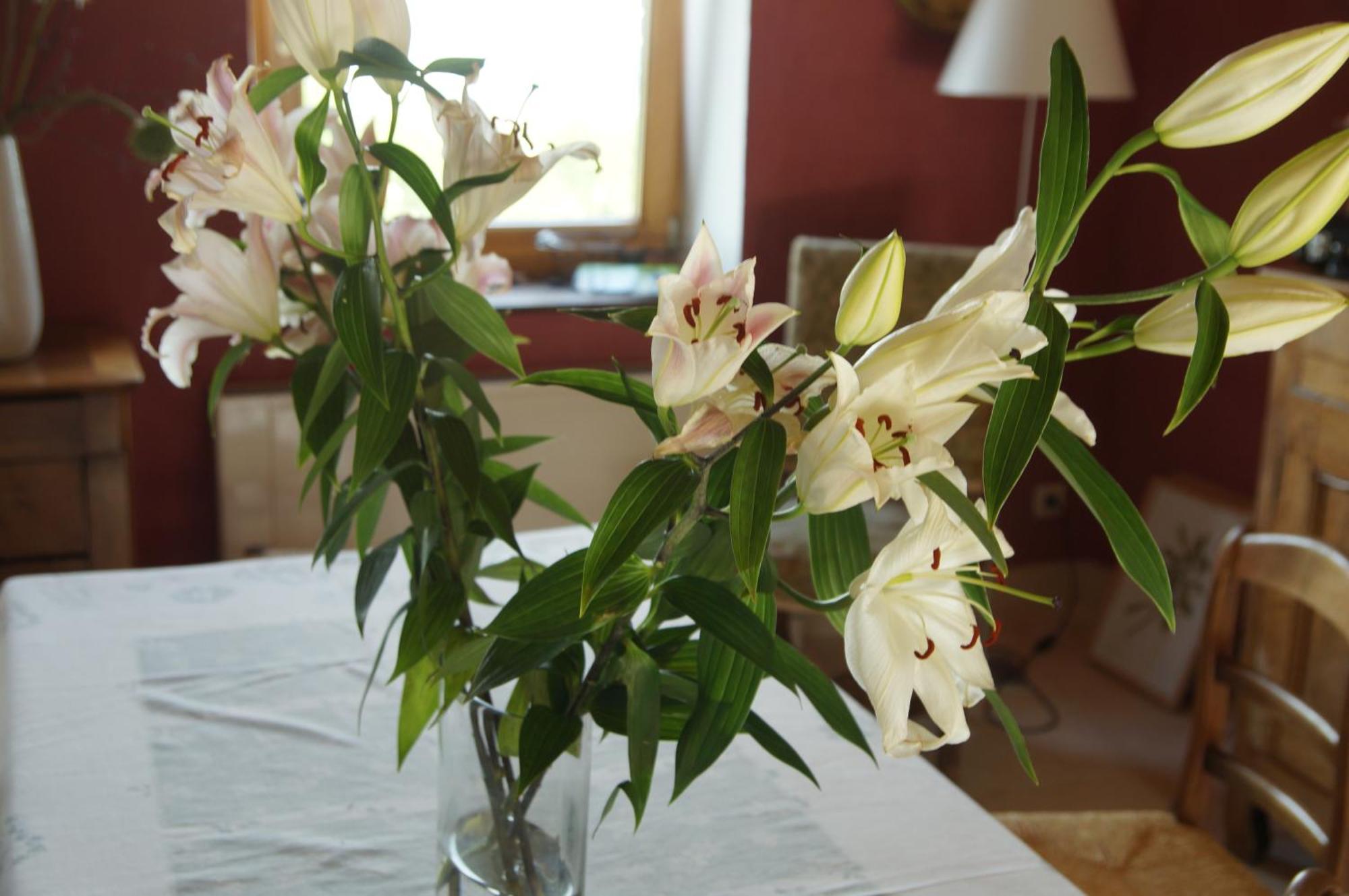 Bed and Breakfast Le Grand Noe Roisey Номер фото